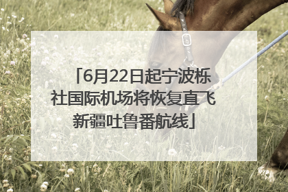 6月22日起宁波栎社国际机场将恢复直飞新疆吐鲁番航线