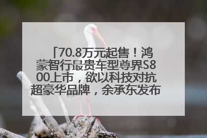 70.8万元起售！鸿蒙智行最贵车型尊界S800上市，欲以科技对抗超豪华品牌，余承东发布会未提及迈巴赫