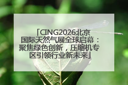CING2026北京国际天然气展全球启幕：聚焦绿色创新，压缩机专区引领行业新未来