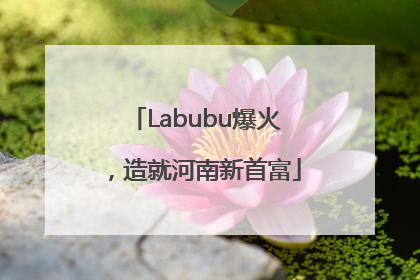 Labubu爆火，造就河南新首富