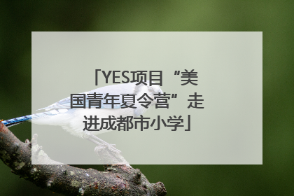 YES项目“美国青年夏令营”走进成都市小学